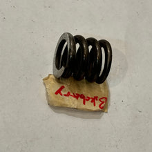 Load image into Gallery viewer, (Bikeberry-brand) Upgraded/Stiffer Clutch Spring
